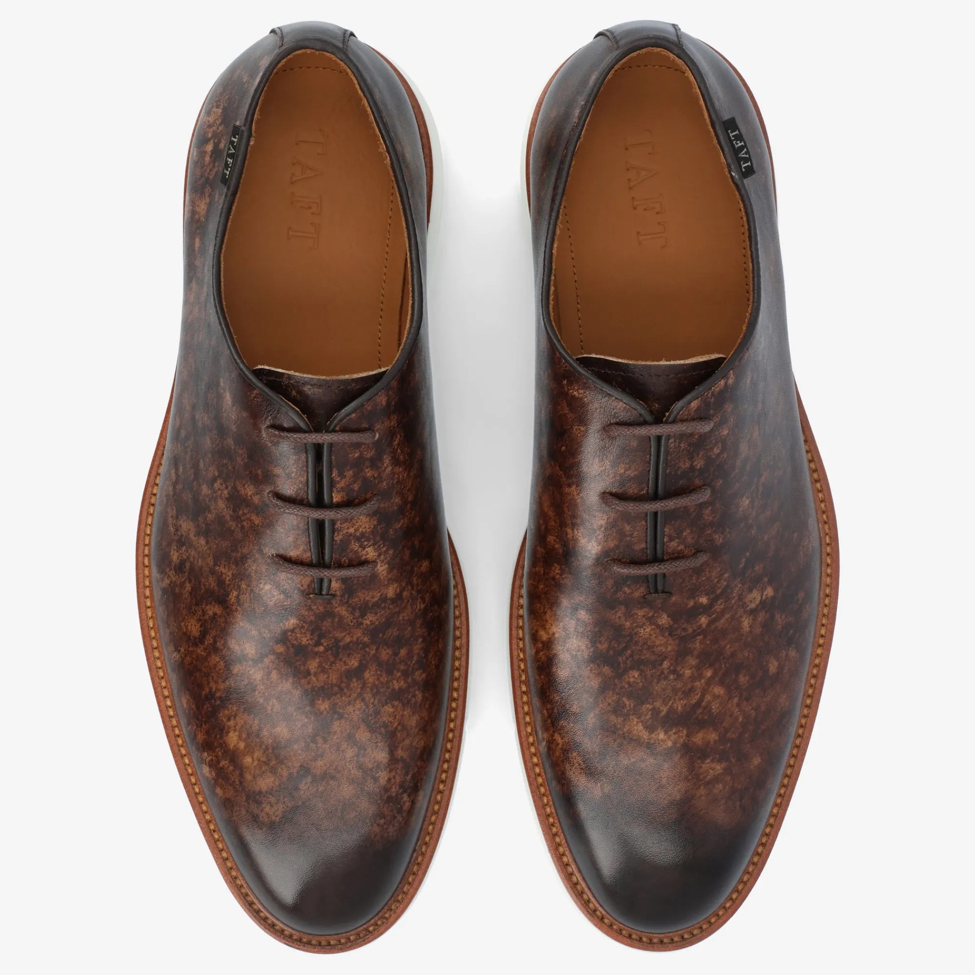 Shop TAFT Model 101 Shoe In Espresso